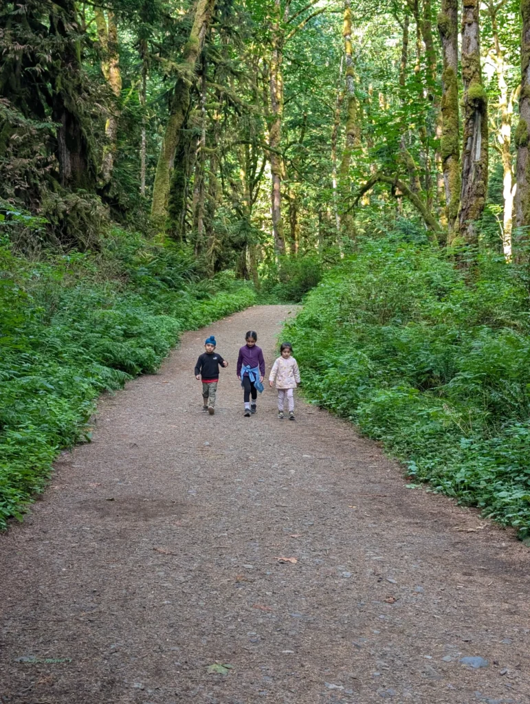 hiking8